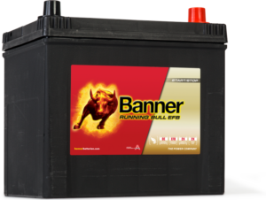 Running_Bull_EFB_565_00