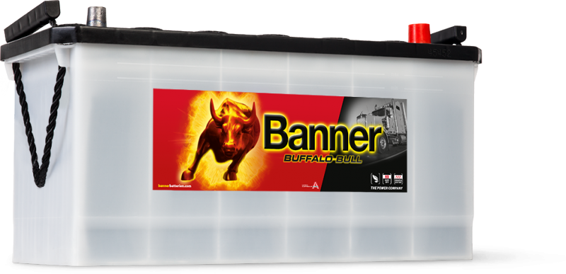 Buffalo_Bull_600_26 Buffalo Bull 600 26