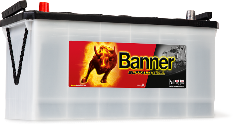 Buffalo_Bull_600_35 Buffalo Bull 600 35