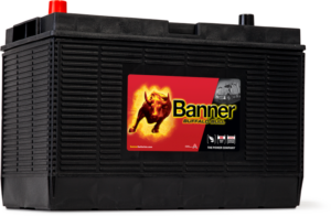 Buffalo Bull 605 02