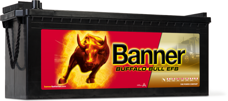 Buffalo_Bull_EFB_690_17 Buffalo_Bull_EFB_690_17