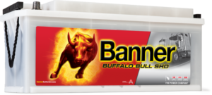 Buffalo_Bull_SHD_610_40