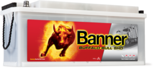 Buffalo_Bull_SHD_635_44