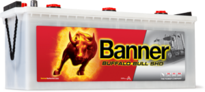 Buffalo_Bull_SHD_640_35