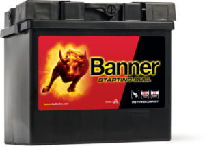 Starting_Bull_530_30