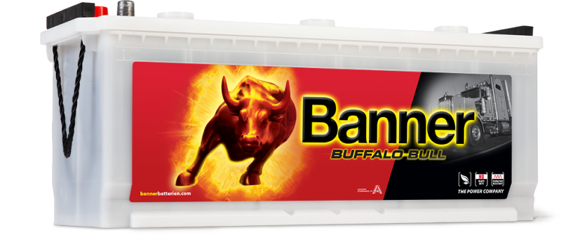 Buffalo_Bull_640_35